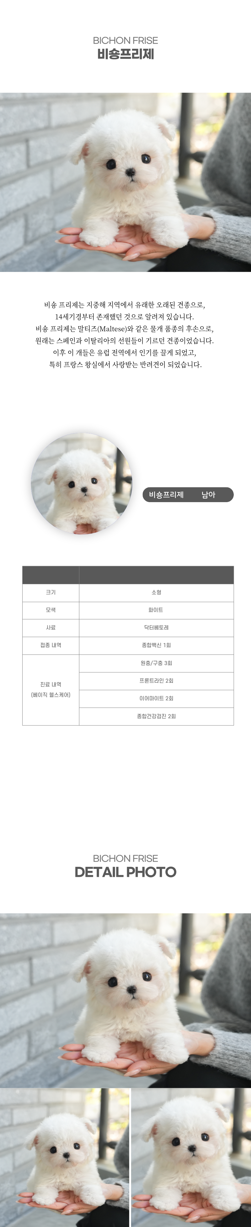 토이푸들_상세이미지_2